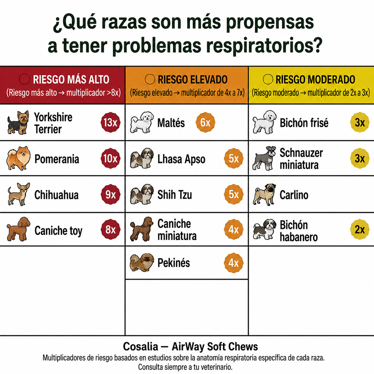 Razas pequeñas con más tendencia a problemas de vías respiratorias