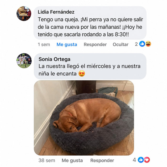 Reseña de cliente 1