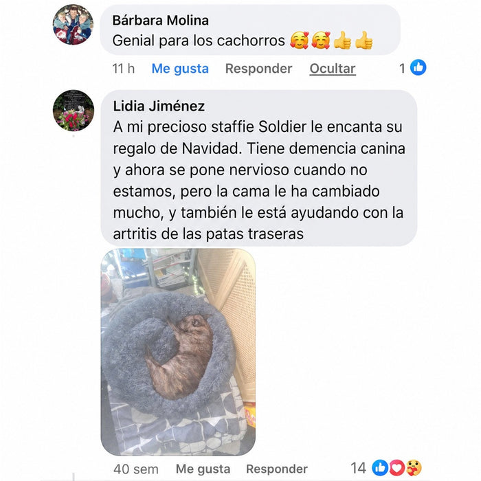 Reseña de cliente 2