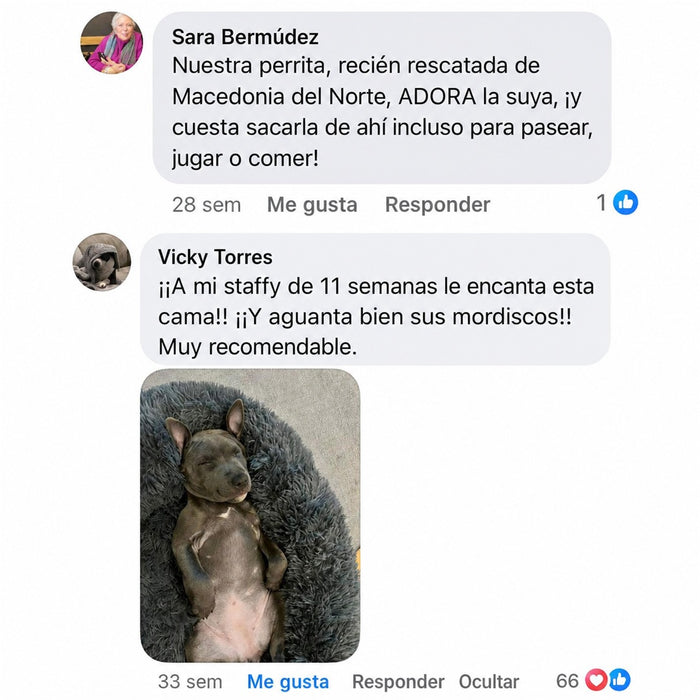 Reseña de cliente 3