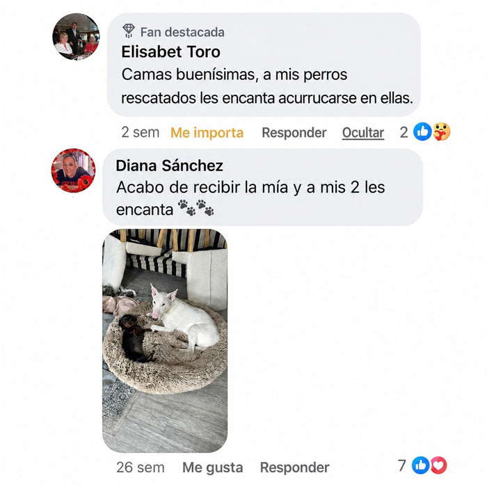 Reseña de cliente 4