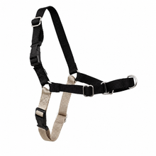 Collar de adiestramiento