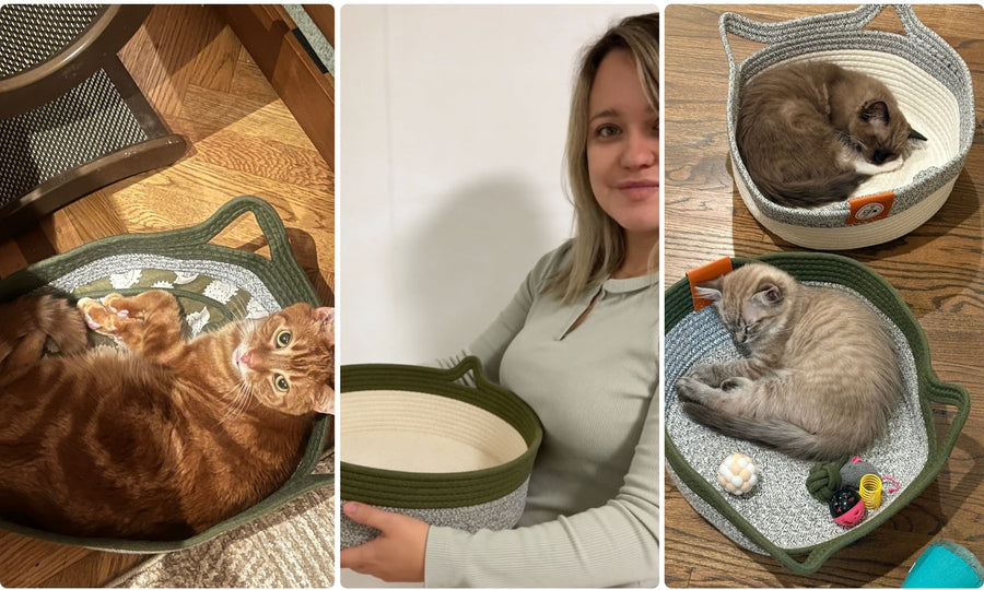 No tenía ni idea de que estaba dejando crecer demasiado las uñas de mi gata sin querer, hasta que descubrí lo que los gatos de interior necesitan de verdad