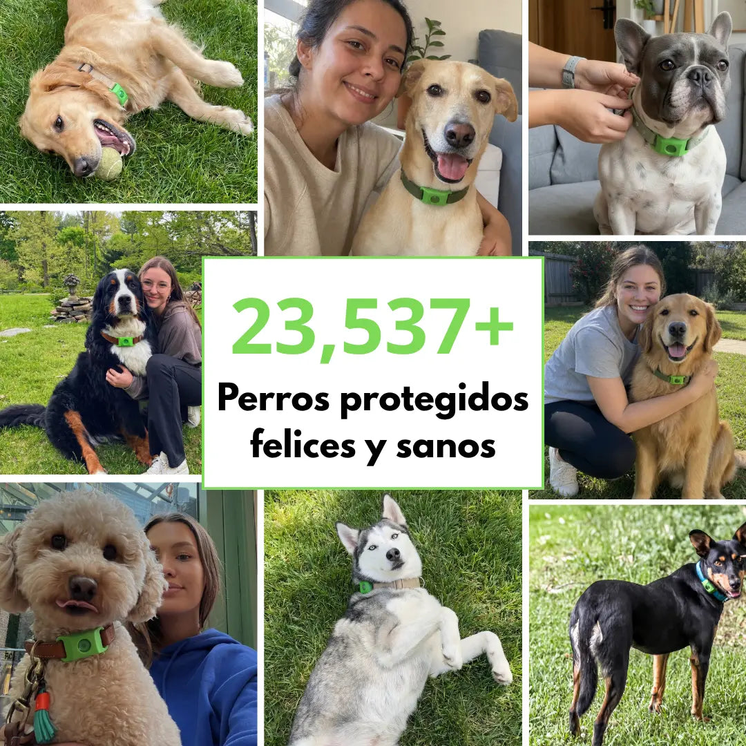 EscudoNatural® · Colgante Antiparasitario Natural para Perros