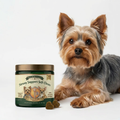 Bote de Airway Support Soft Chews junto a un yorkshire terrier