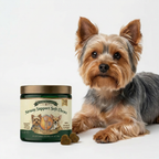 Bote de Airway Support Soft Chews junto a un yorkshire terrier
