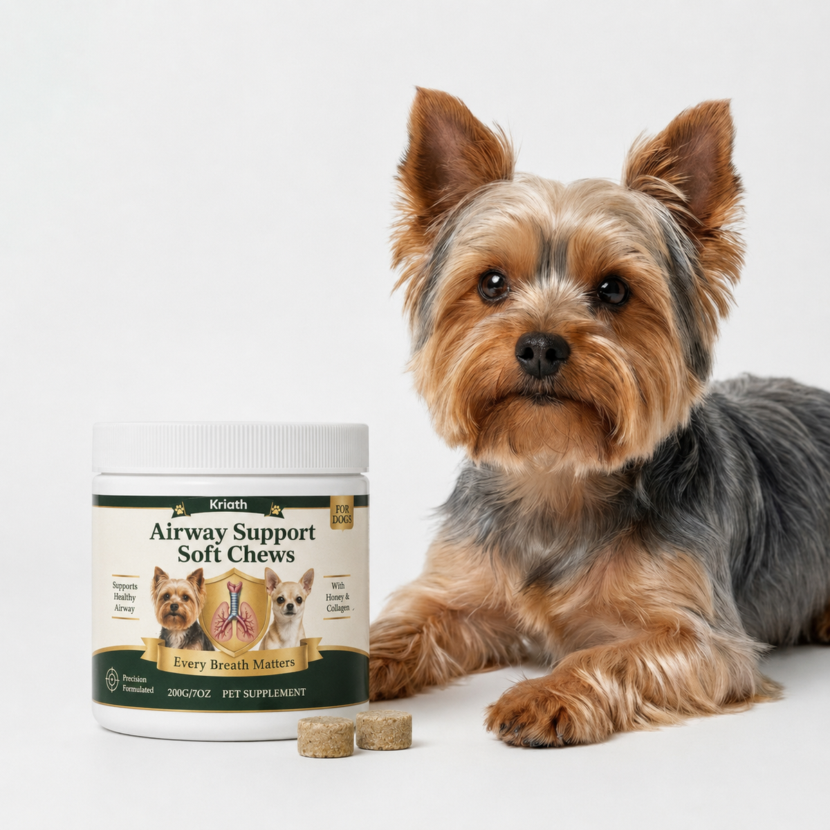 Yorkshire terrier junto al bote de Airway Support Soft Chews de Kriath