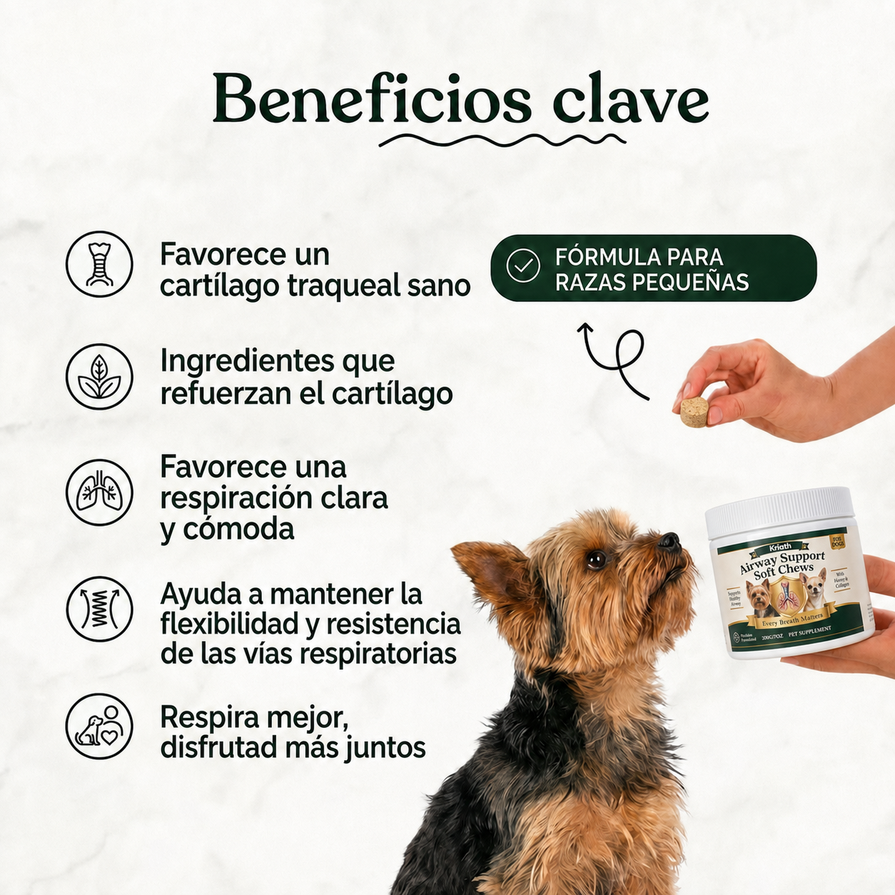 Beneficios clave de Airway Support Soft Chews para razas pequenas