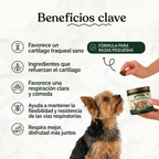 Los cinco beneficios clave de los masticables blandos AirWay