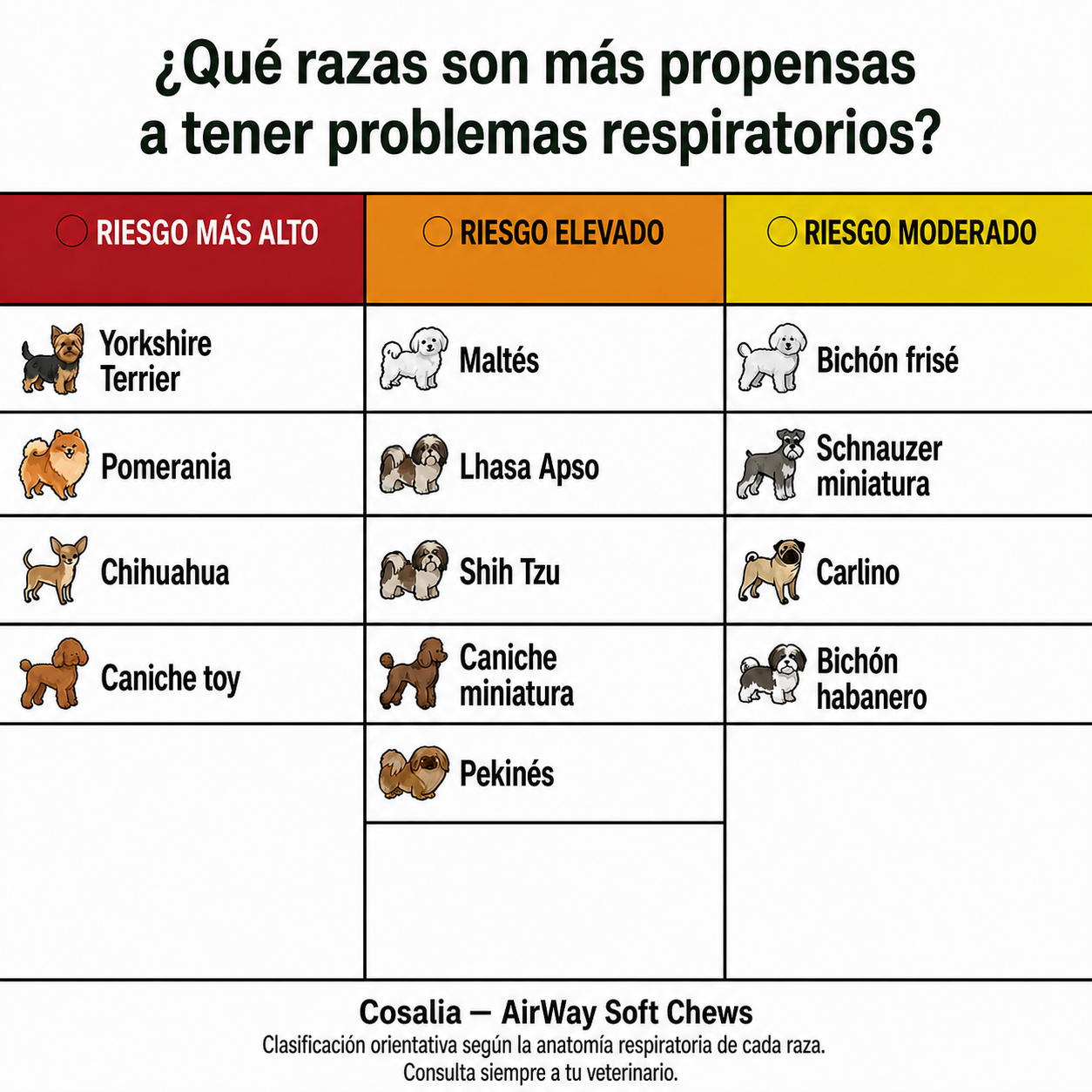 Que razas pequenas son mas propensas a tener problemas respiratorios