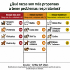 Qué razas pequeñas son más propensas a tener problemas respiratorios