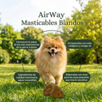 Cuatro claves de los masticables AirWay, con un pomerania en el césped