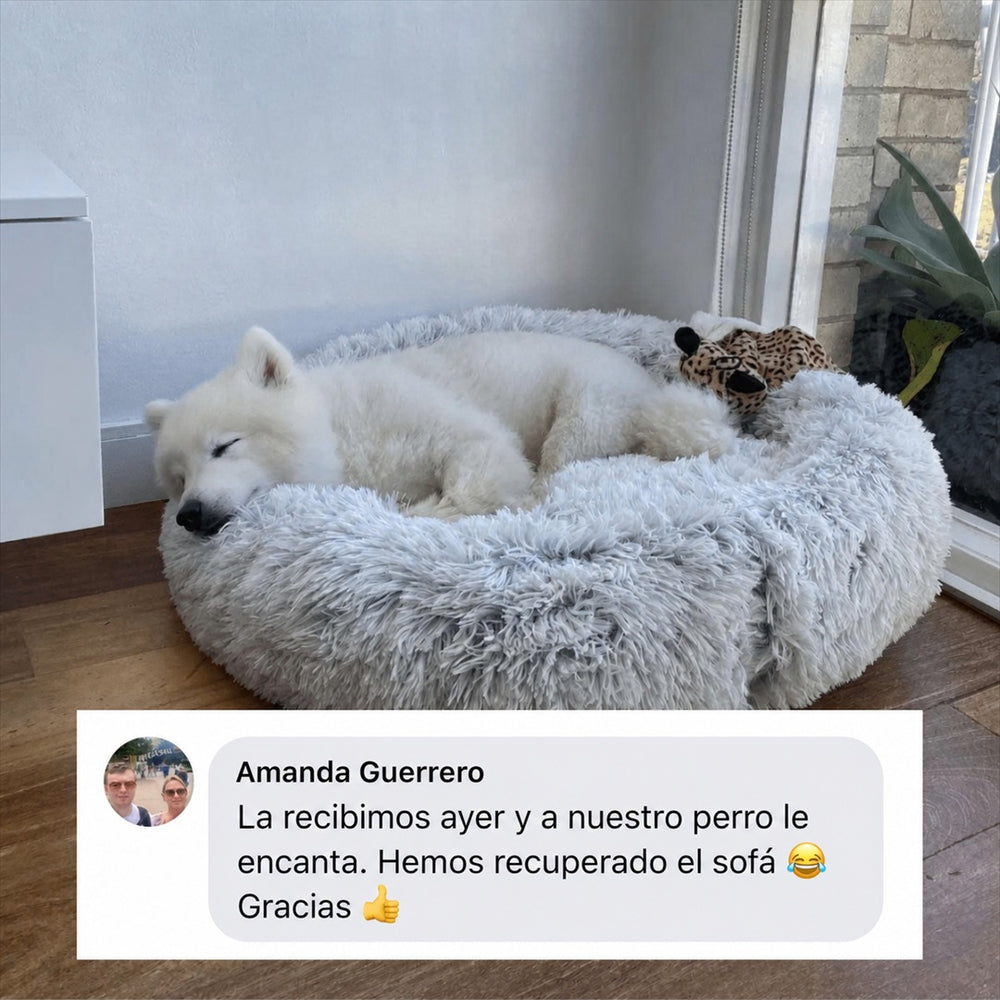 ¡Comodidad a medida para perros de todos los tamaños!