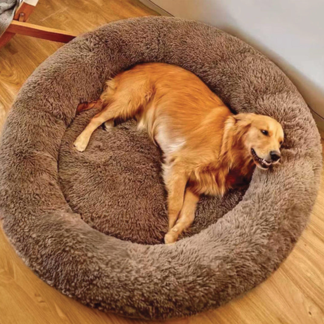 Cama Calmante para Perros — 9