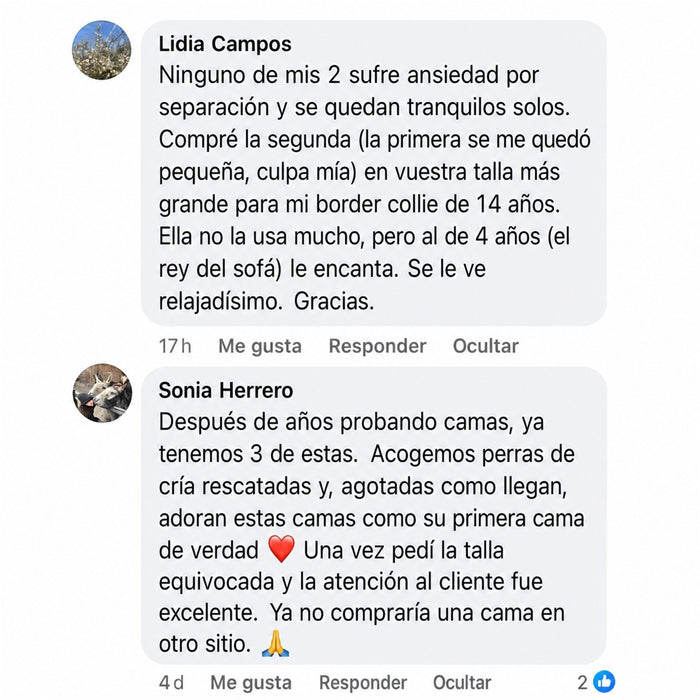 Reseña de cliente 5
