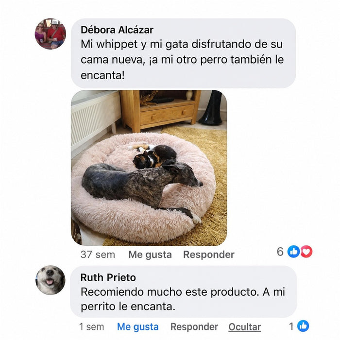 Reseña de cliente 6