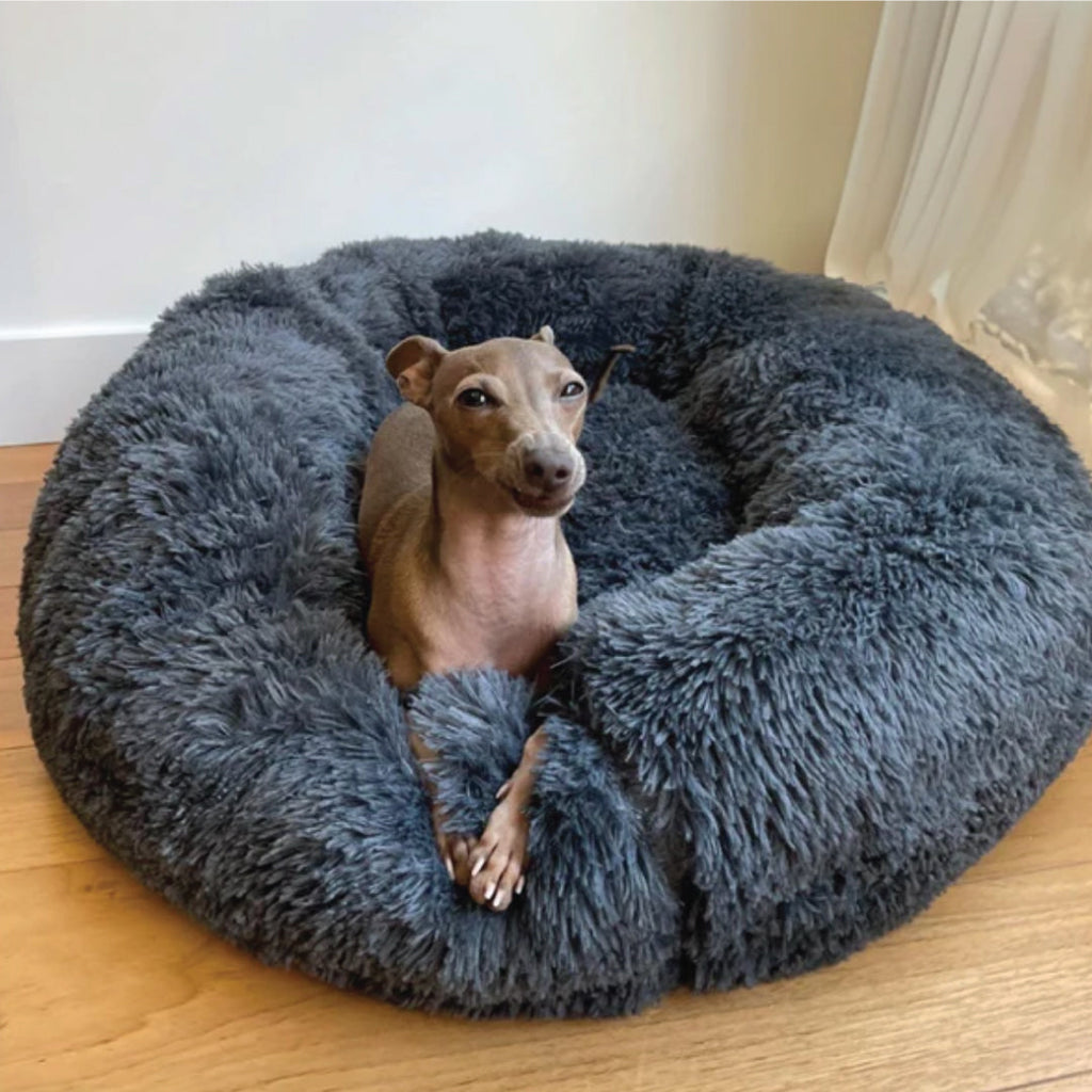 Cama Calmante para Perros — 6