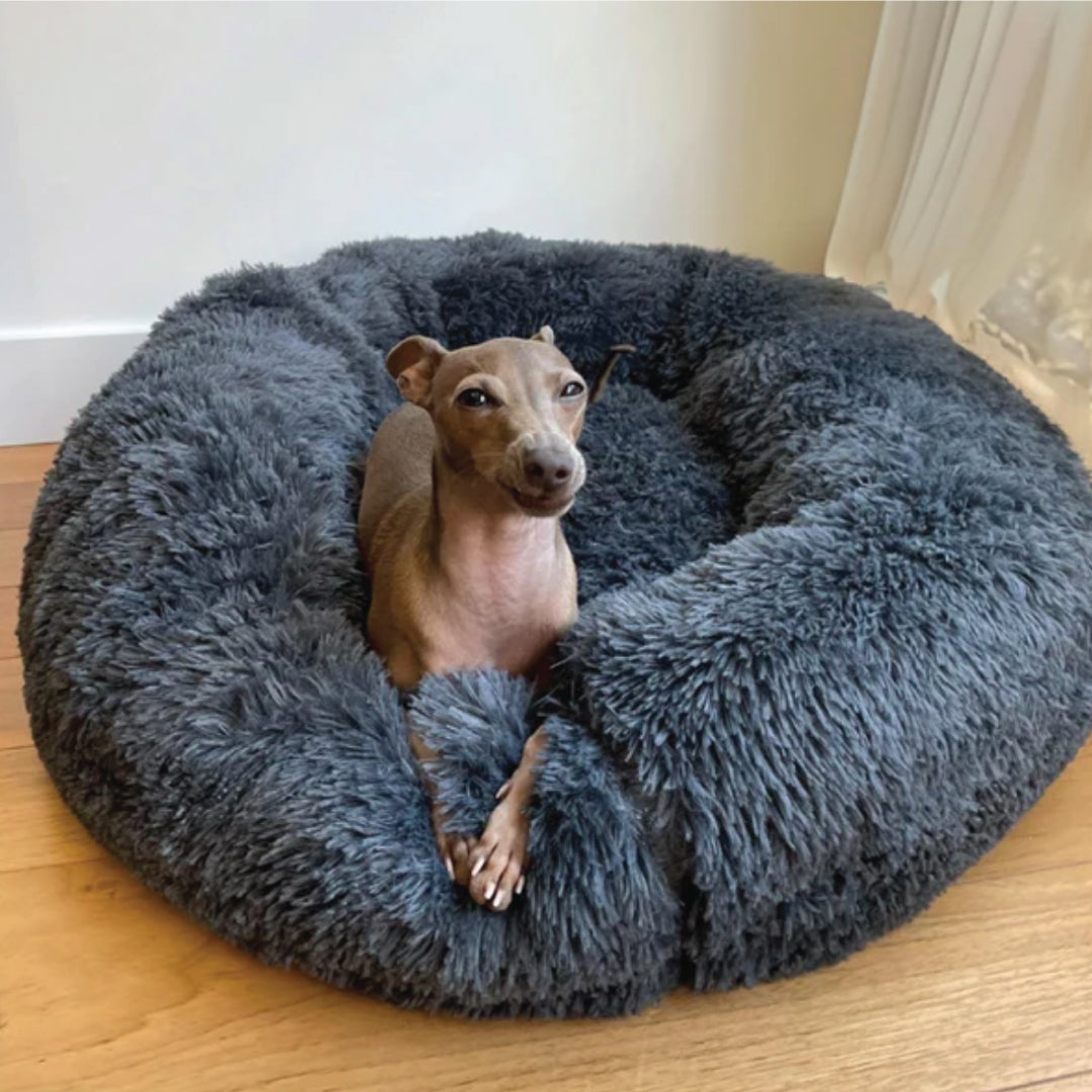 Cama Calmante para Perros — 6