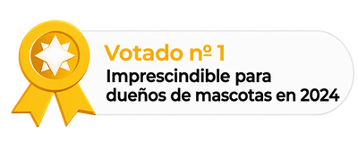 Votado nº 1 en 2024