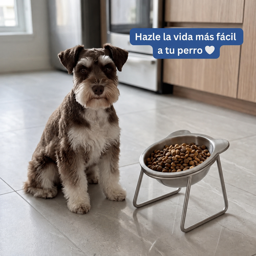 Perro sentado junto al comedero ortopédico — hazle la vida más fácil a tu perro