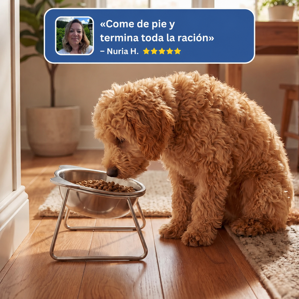 Perro comiendo de pie — reseña de una clienta de Cosalia