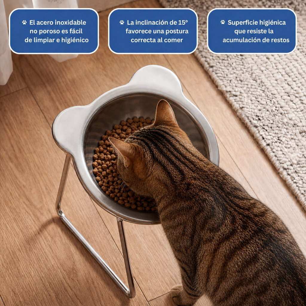 Gato comiendo de pie: acero no poroso, inclinación de 15°, superficie higiénica