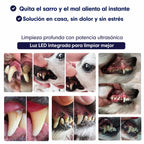 DentiSonic™ — Kit ultrasónico antisarro para perros — 3