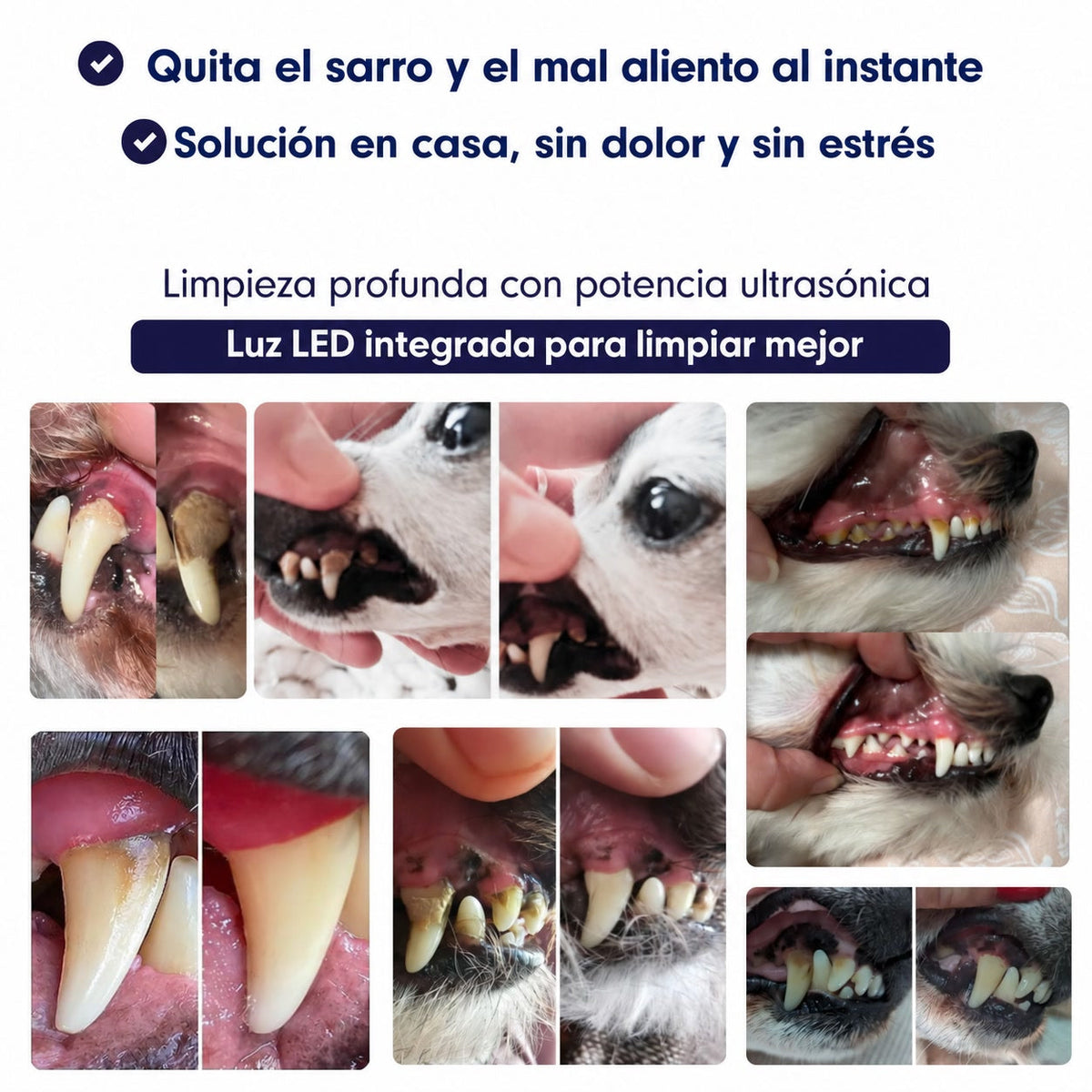 DentiSonic™ — Kit ultrasónico antisarro para perros — 3
