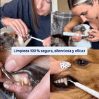 DentiSonic™ — Kit ultrasónico antisarro para perros — 4