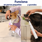 DentiSonic™ — Kit ultrasónico antisarro para perros — 6