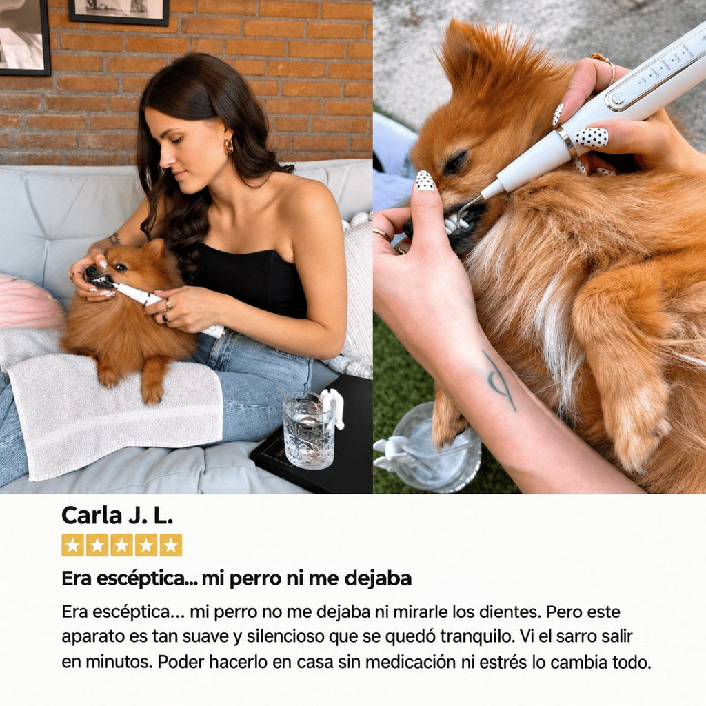 DentiSonic™ — Kit ultrasónico antisarro para perros — 10