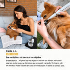 DentiSonic™ — Kit ultrasónico antisarro para perros — 10