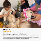 DentiSonic™ — Kit ultrasónico antisarro para perros — 11