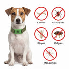 El colgante mantiene lejos larvas, garrapatas, piojos, pulgas y mosquitos
