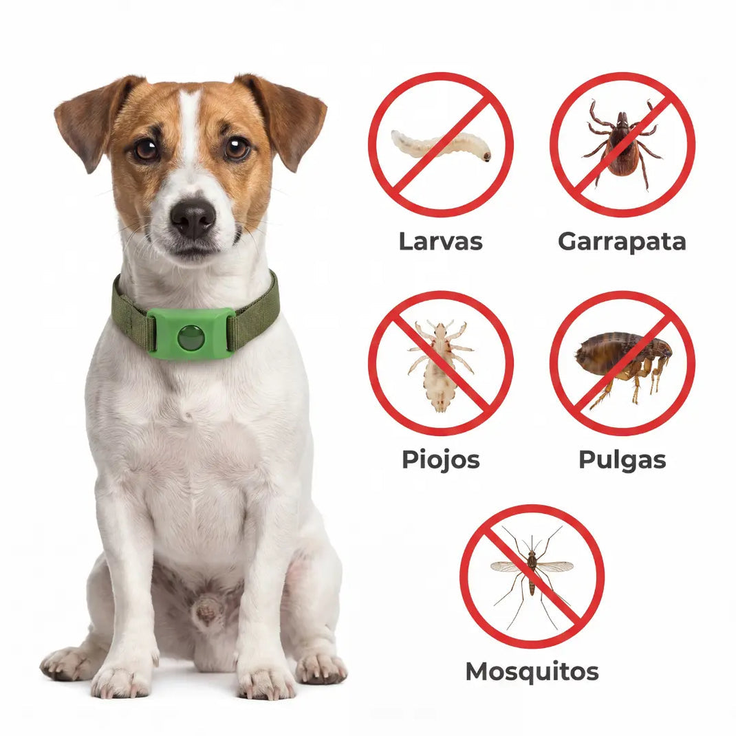 El colgante mantiene lejos larvas, garrapatas, piojos, pulgas y mosquitos