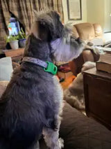 — Hugo F., cliente verificada