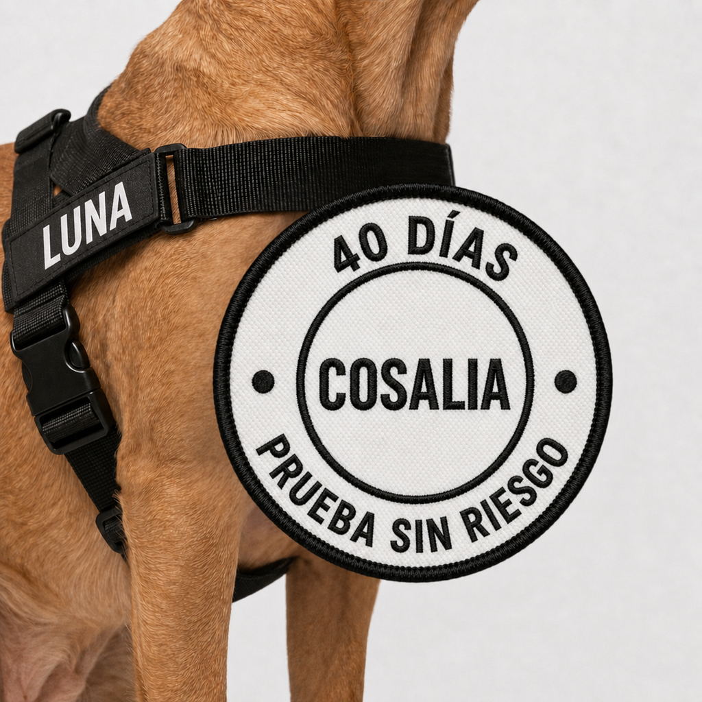 Arnés Antitracción Cosalia — 8