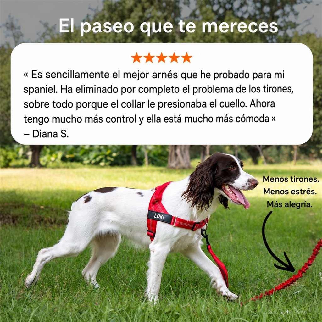 Arnés Antitracción Cosalia — 2