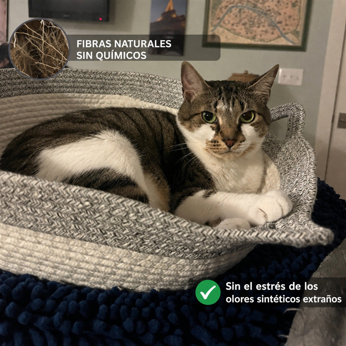 Cesta Instinto™ (cesta-territorio para gatos) — 5