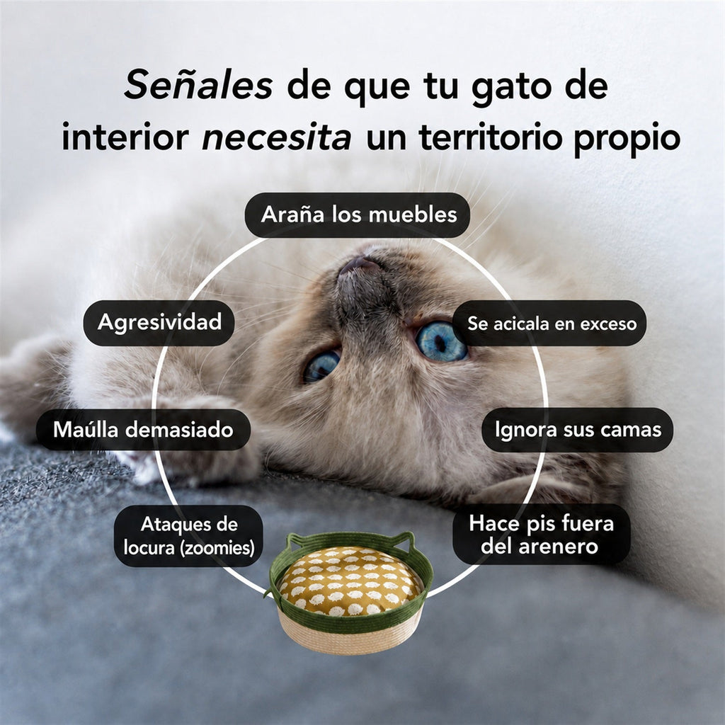 Cesta Instinto™ (cesta-territorio para gatos) — 7
