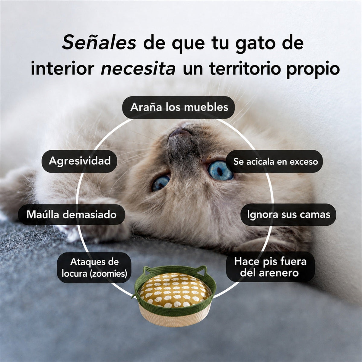 Cesta Instinto™ (cesta-territorio para gatos) — 7
