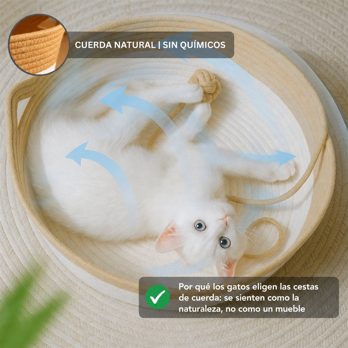 Reduce el estrés y protege su salud