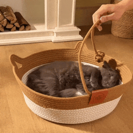 ¿Tiene tu gato un territorio de verdad?