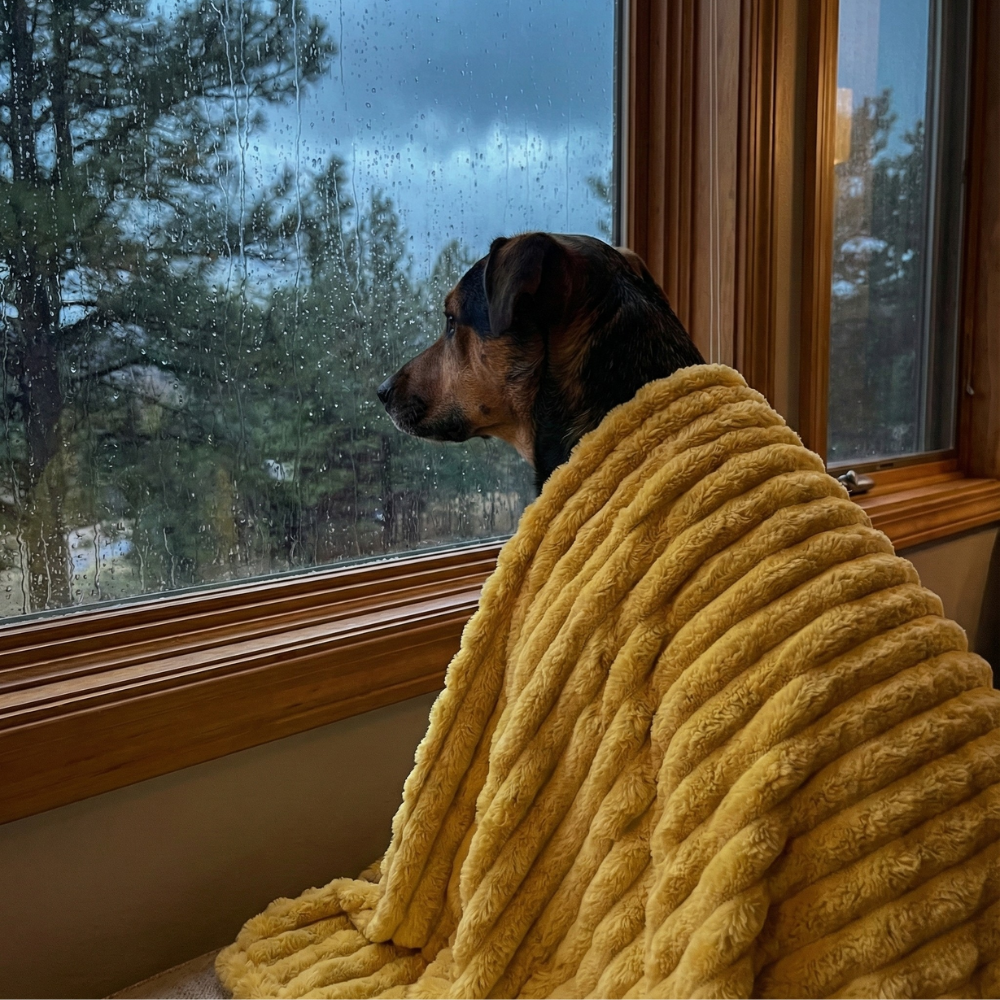 Manta de Apoyo Emocional™ — 9