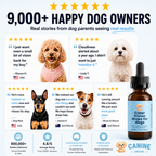 Cosalia® VistaClara (gotas de visión para perros) — 4
