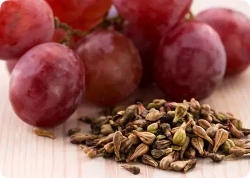 Uvas y semillas de uva, fuente de proantocianidinas