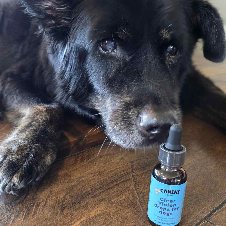 Perro senior junto a su frasco de VistaClara